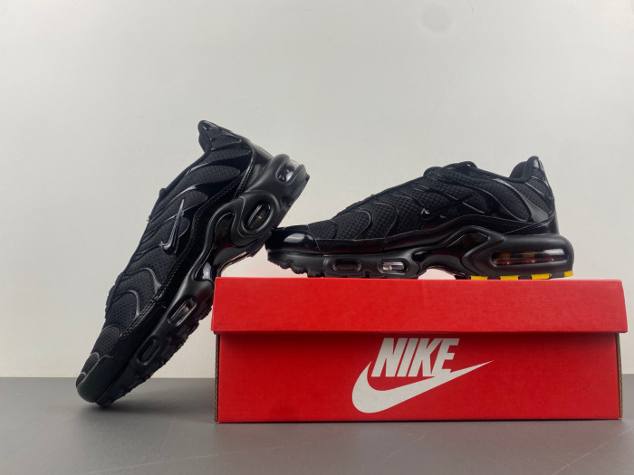 Nike Air Max Plus Triple Black 604133-050