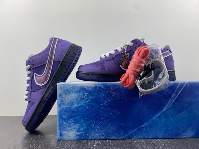 CONCEPTS X NK SB DUNK LOW "PURPLE LOBSTER" BV1310-555