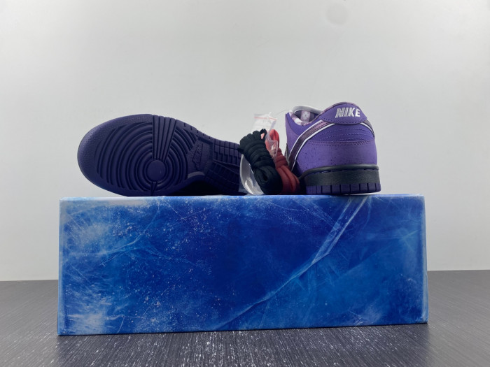 CONCEPTS X NK SB DUNK LOW "PURPLE LOBSTER" BV1310-555