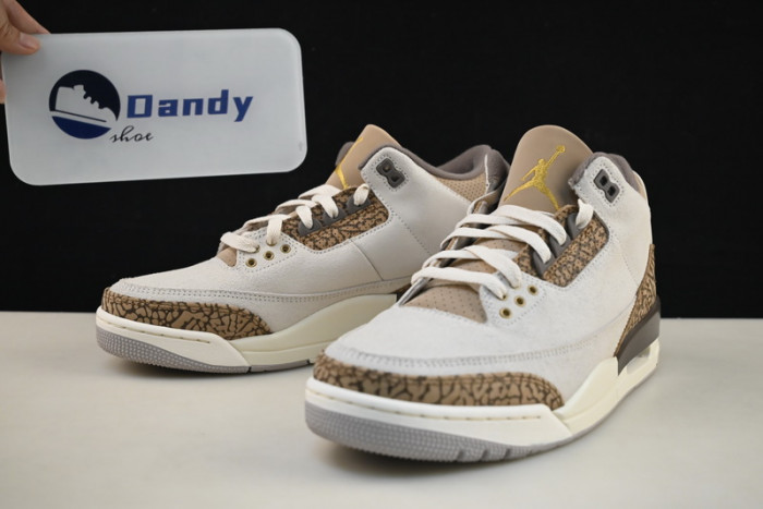 Air Jordan 3 “Palomino” CT8532-102