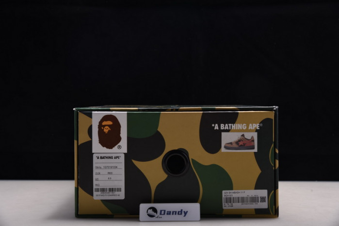 BAPE Shoe