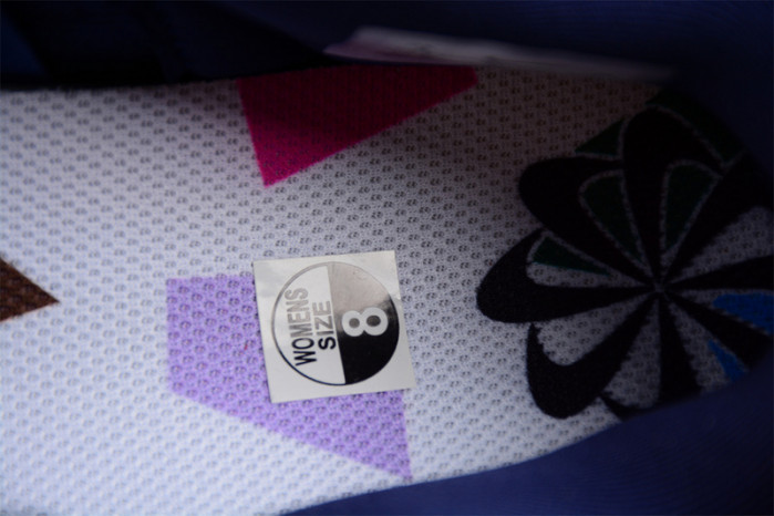 Nike Dunk Low Disrupt 2 Michigan (Women