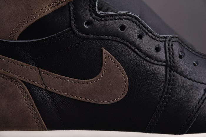 Air Jordan 1 Retro High OG “Palomino” DZ5485-020