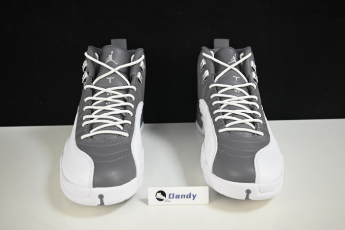 AIR JORDAN 12 STEALTH/WHITE-COOL GREY CT8025-610