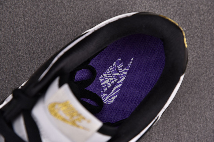 NIKE DUNK LOW WORLD CHAMP DR9511-100