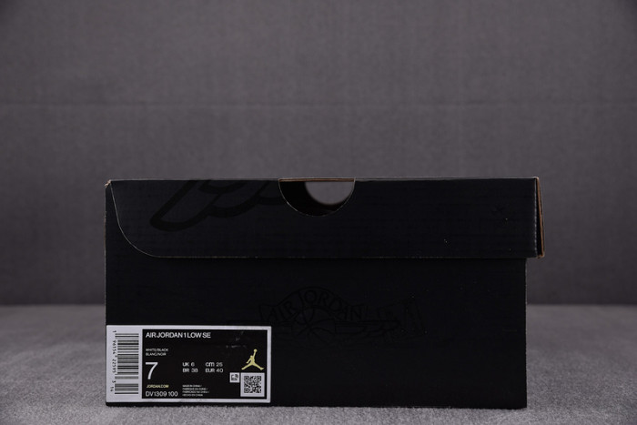 Air Jordan 1 Low“Concord” DV1309-100