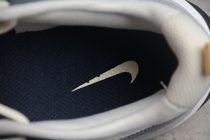 Nike Air Max Bliss Light Iron Cool Grey DZ6754-001