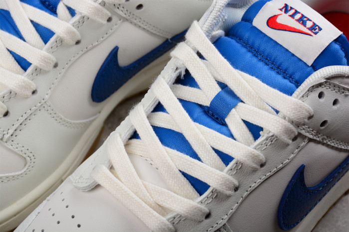 NIKE DUNK LOW RETRO DX3198-13