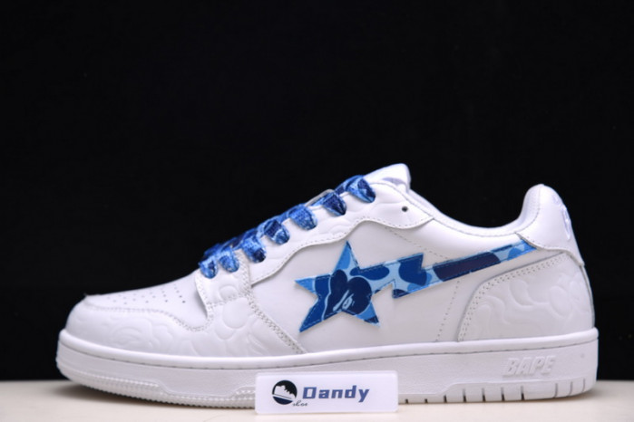 BAPE Shoe