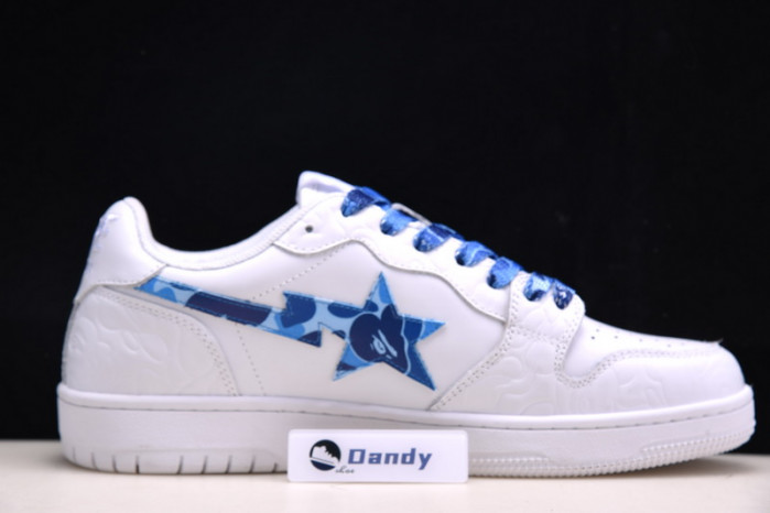 BAPE Shoe